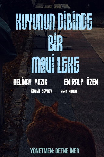 Kuyunun Dibinde Bir Mavi Leke (2026)