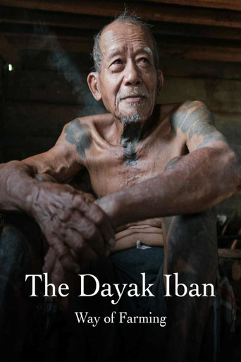 The Dayak Iban Way of Farming