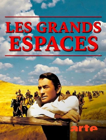 Les Grands Espaces - affiche officiel