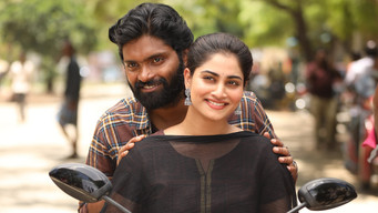 Bumper media image