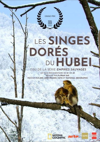 Golden Monkeys: Braving The Impossible (1970)