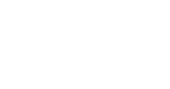 The Seat logo