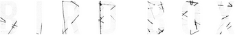 Bird Box logo