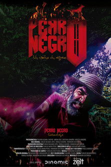 Perro Negro poster