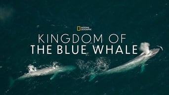 #4 Kingdom of the Blue Whale