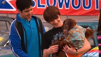 Episódio Meu Jantar com Bobo da série Drake e Josh