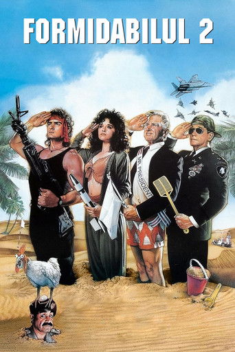 Formidabilul 2 (1993)