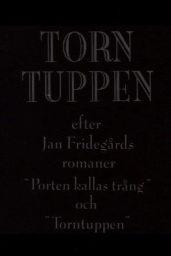 Torntuppen