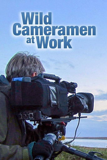Wild Cameramen at Work poster