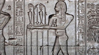 Ancient Cities and Enduring Creatures