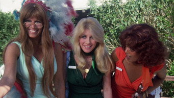 Blazing Stewardesses (1975)