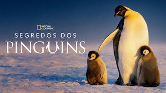 Cena de Segredos dos Pinguins