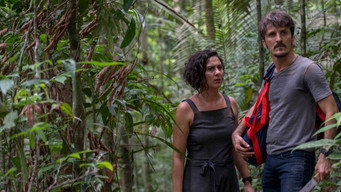Jungle Pilot (2019)
