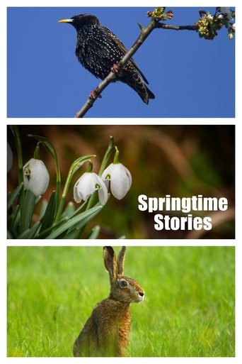 Springtime Stories (2015)