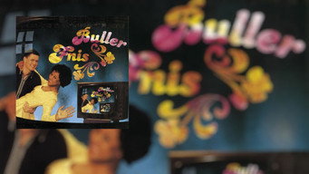 Bullerfnis (1990- )