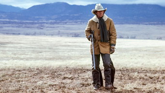 #5 Steve McQueen: American Icon