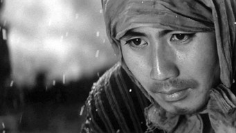 Зрада (1966)