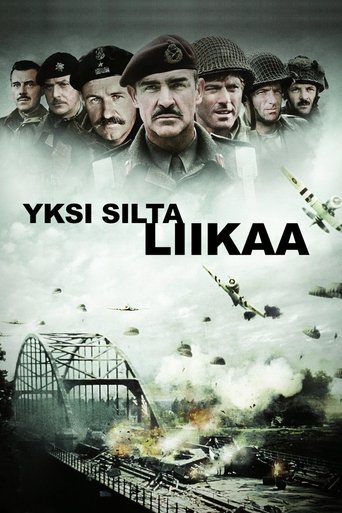 Yksi silta liikaa