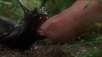 #9 Slugs