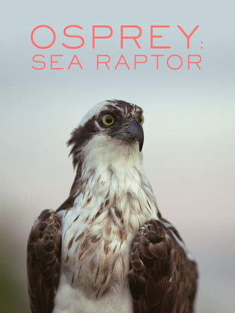 Osprey: Sea Raptor (2021)