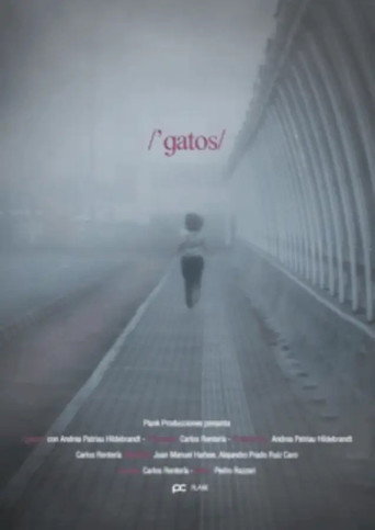 /'gatos/
