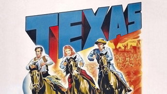 #4 Texas