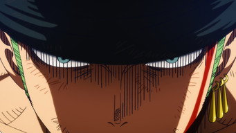 #6 THE ONE PIECE
