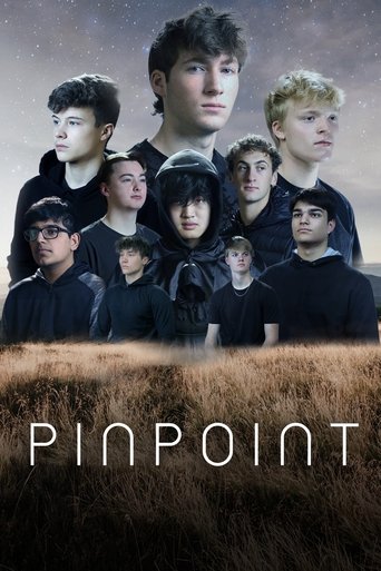 Pinpoint Poster