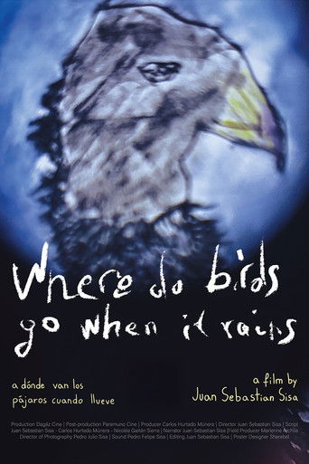 Where Do Birds Go When It Rains poster