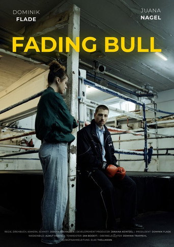 Fading Bull (2024)