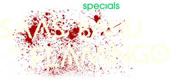 Saas, Bahu Aur Flamingo logo