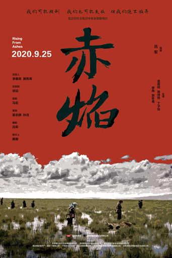 赤焰 poster