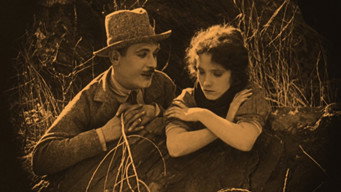 The Broken Butterfly (1919)