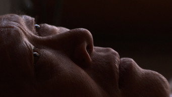 Your Day Is My Night (2013)