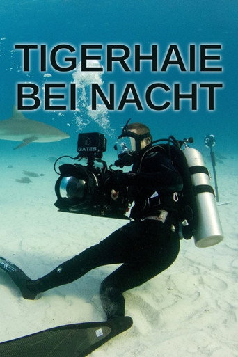 Tigerhaie bei Nacht
