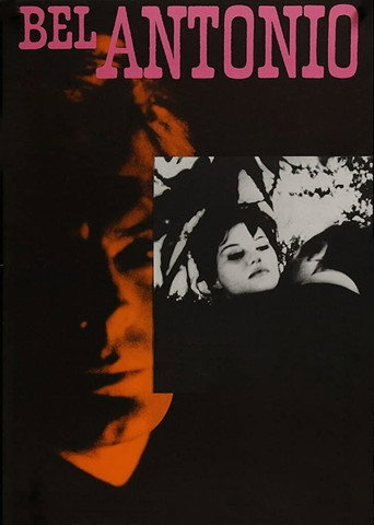 Il bell'Antonio — Posters 20