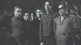 The Black Cat (1964)