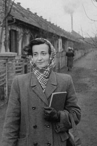 Everyday Stories (1955)