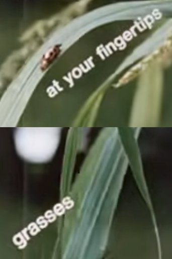 At Your Fingertips: Grasses