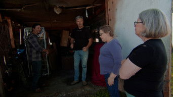 American Pickers S20E5 poster