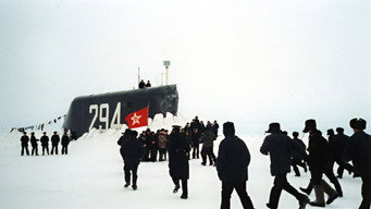 #21 К-19