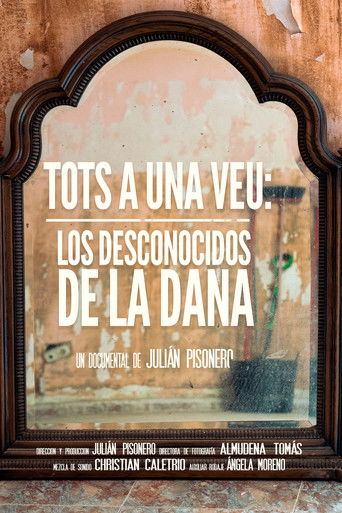 Tots a una veu: Los desconocidos de la DANA (2026)