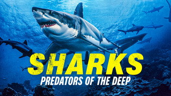 Sharks: Predators of the Deep (2024)