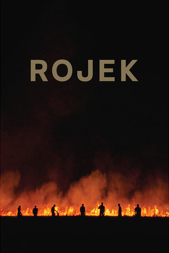 Rojek (2022)