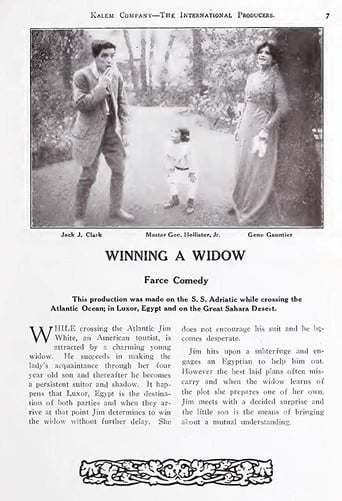 Poster of Winning a Widow