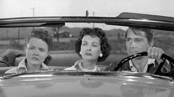 #4 Highway Dragnet