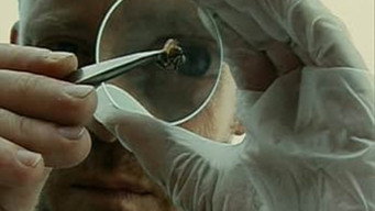 Tafanos (2000)