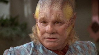 คิดเรื่อยเปื่อย