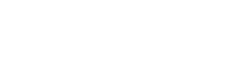 The American logo