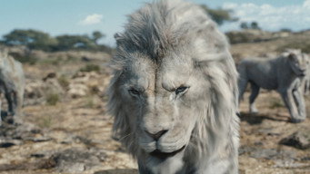 Still 12 from Mufasa: The Lion King